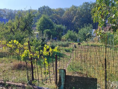 Земельна ділянка Сад-город ТОВ Протон 3 сотки Ладыжин