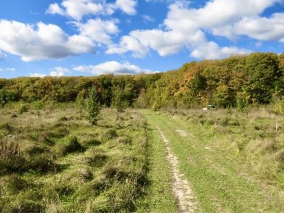 Продам земельну ділянку 12 соток ! Терміново Лука-Мелешковская