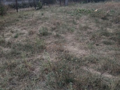 Продам дилянку. Участок..Ривний. Лука-Мелешковская