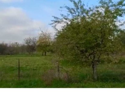 Продажа участка 25 с. в с. Лука-Мелешковская, Винницкой области