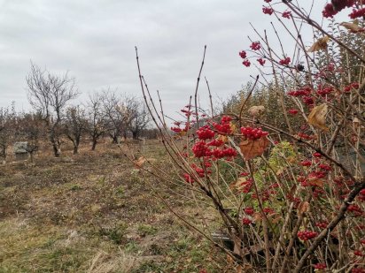 Продам ділянку в Луці-Мелешківській під будівництво Лука-Мелешковская