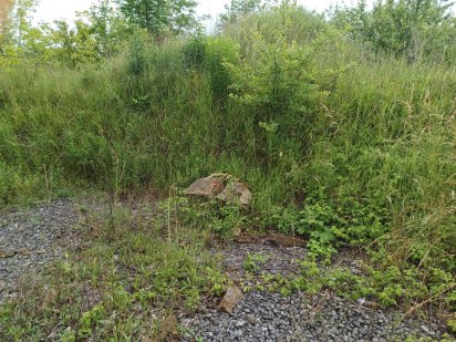 Земельна ділянка Лука-Мелешковская