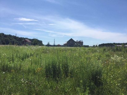 (3) Продам земельну ділянку в Луці-Мелешківській 9006 Лука-Мелешківська