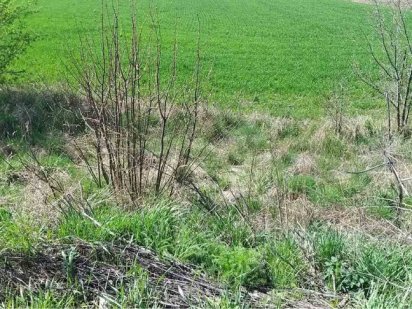 Продам особисте селянське господарство Лука-Мелешковская