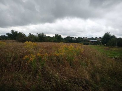 Продаж земельної ділянки в селі Лука-Мелешківська