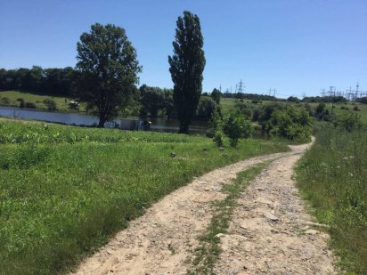 (3) Продам земельну ділянку 1 га в Луці-Мелешківській 9006 Лука-Мелешківська