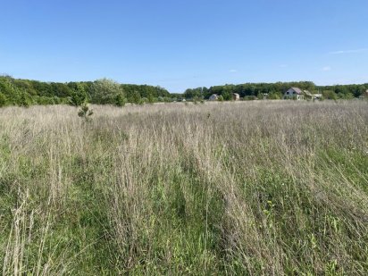 Продаж землі в  селі Якушинці Якушинцы