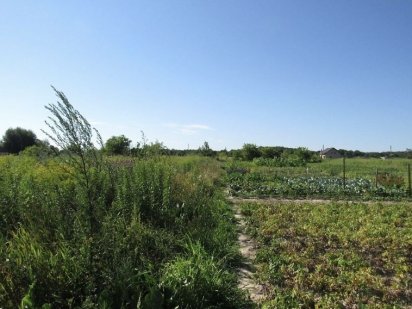 Продам 26сот землі в Якушинцях Якушинці