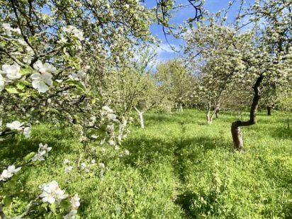 Продам класну ділянку з виходом на дві вулиці , 26соток Якушинцы