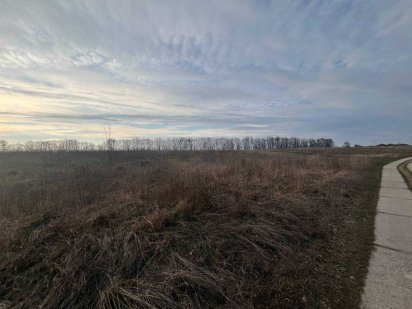 Продаж земельної ділянки с. Якушинці вул. Липова