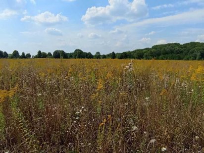 Продається земельна ділянка в с. Якушинці 9890