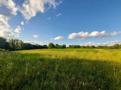 Продається земельна ділянка в Якушинцях