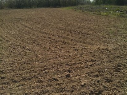 Земельна ділянка.1гектар Іллінці