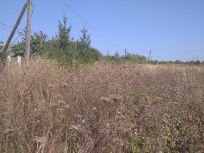 (3) Терміново! Продам земельну ділянку в Щітках 0756 Щитки