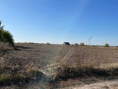 (5)   Продам земельну ділянку в с, Щітки 9081 Щитки