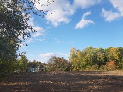 Продається земельна ділянка в Щітках Щитки