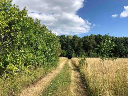 Продам ділянку с. Щітки (8387) Щитки