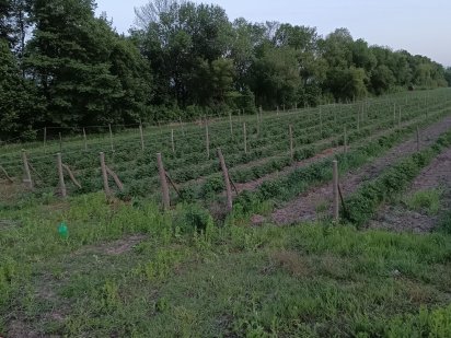 Земельна ділянка 1.7 га. Гнівань