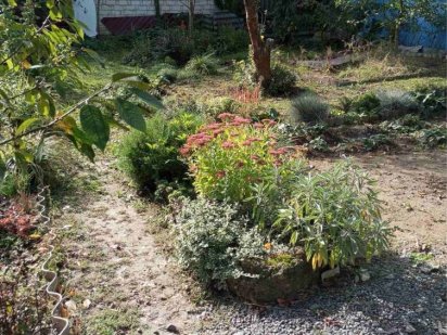 Продам земельну ділянку Петрик