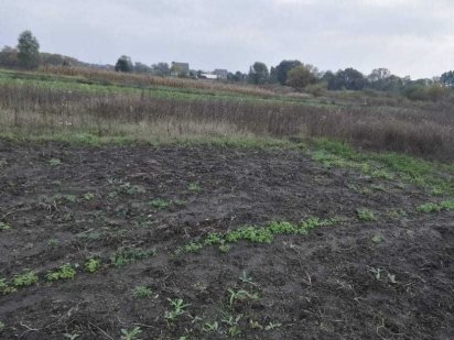 Продам земельну ділянку 3500₴ Вінниця.Вінницька область місто Гнівань Гнівань