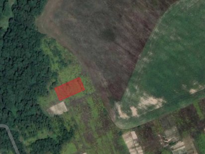 (5)   Продам ділянку в с. Петрик  9081 Петрик