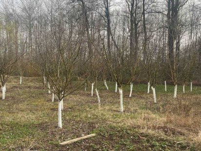 Продаж ділянки з будиночком біля лісу! с. Петрик, 17 км від Вінниці Петрик