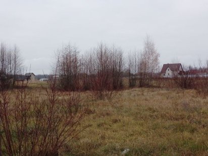 Ділянка на Світязі! Пропонуйте свою ціну! Свитязь