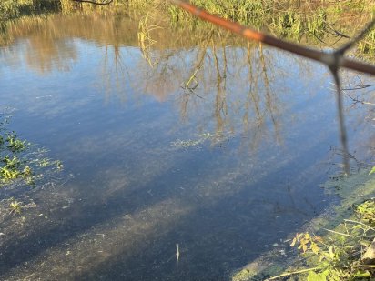 Ділянка біля водойми з гарним краєвидом Бохоники Бохоники