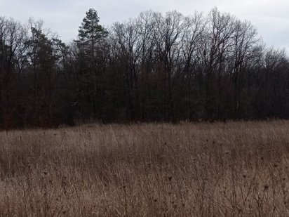 Продам земельну ділянку 10с в Бохониках Бохоники