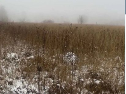 Продаж земельної ділянки Бохоники