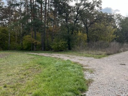 Пропоную земельну ділянку Бохоники вулиця Яблунева Бохоники