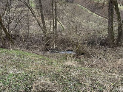 Ділянка Бохоники біля водойми Бохоники