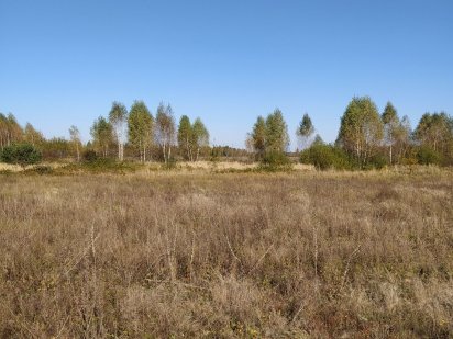 Продам земельну ділянку Світязь