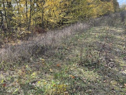 Ділянка Бохоники 8 соток Бохоники