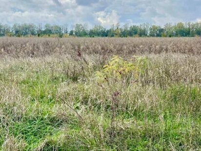 Продаж земельної ділянки в Бохониках!!!