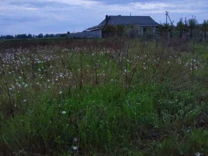 Продам ділянку с.Бохоники (8387) Бохоники