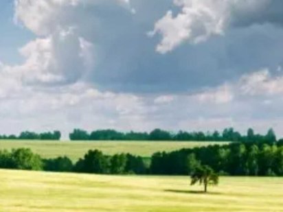 Продається земельна ділянка в с. Бохоники 0962