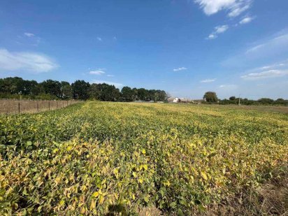 Продаж земельної ділянки в селі Бохоники