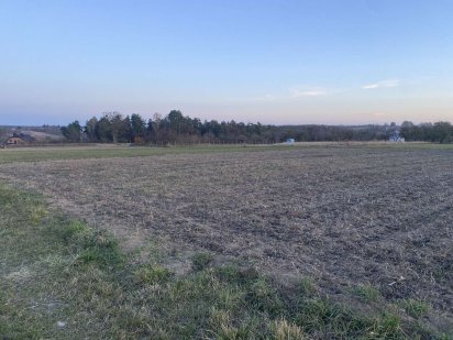 Продам земельну ділянку 19 соток Бохоники