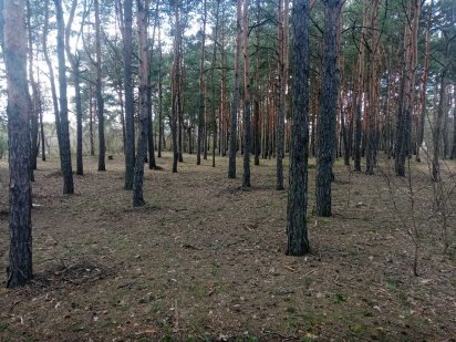 Земельна ділянка Шацьк оз. СВІТЯЗЬ 0.15 ГА Шацьк