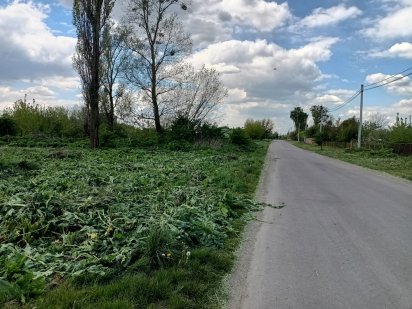 Земельна ділянка Рованцы