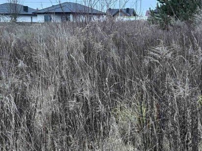 Боратин під забудову Боратин