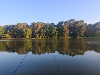 Дачна ділянка для ВІДПОЧИНКУ Гаразджа