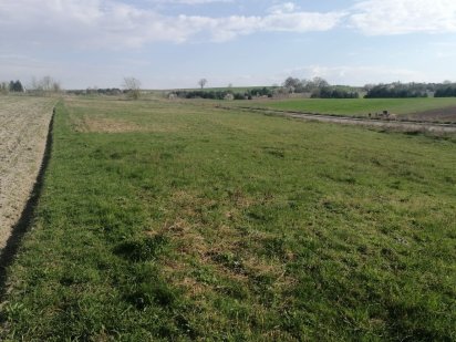 Продам земельну ділянку в селі Гаразджа Гаразджа