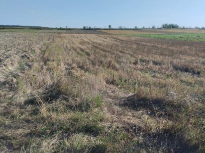 Продамо земельну ділянку Гаразджа