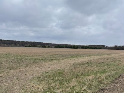 Продаж землі під забудову, 13га, ліс, село  Гараджа. Гаразджа