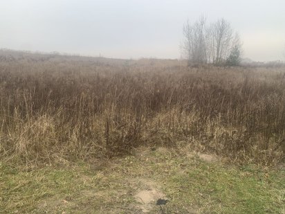 Продам земельну ділянку Струмівка Струмівка