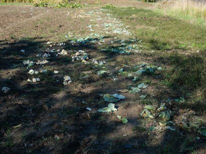 Земельна ділянка для ведення особистого селянського господарства. Струмовка