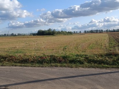 Продам земельну ділянку с/г с. Княгининок 0,61га Княгининок