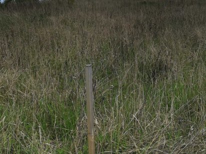 Земельна ділянка с. Боголюби Боголюбы